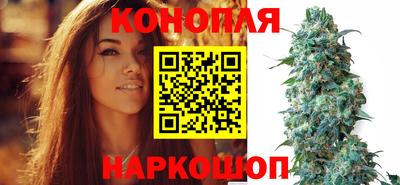 индика Усть-Илимск